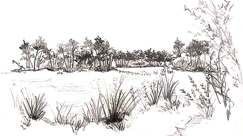 Atlas des paysages - dessin Hostens