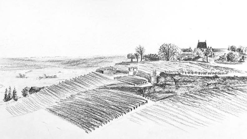 Atlas des paysages - dessin Saint Emilion
