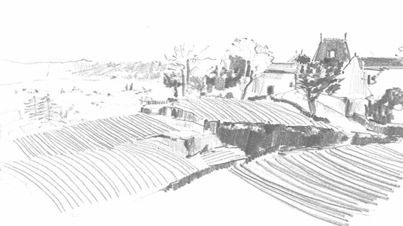 Atlas des paysages - dessin Saint Emilion