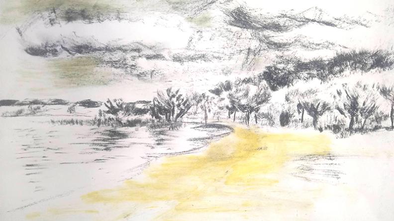 Atlas des paysages - dessin Hourtin Carcans