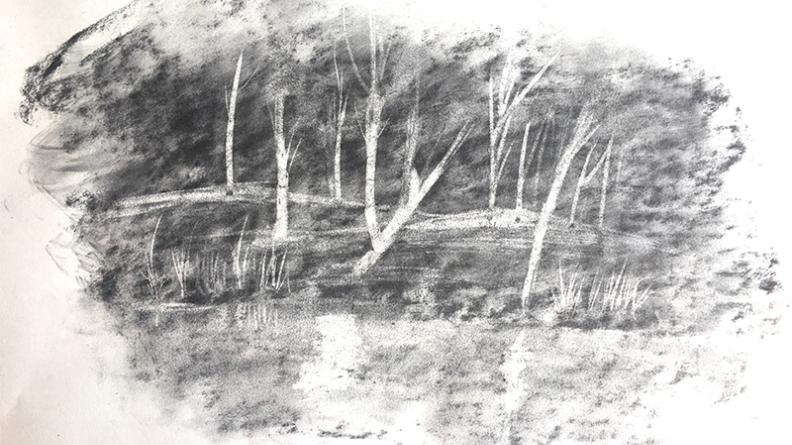 Atlas des paysages - dessin Hourtin Carcans