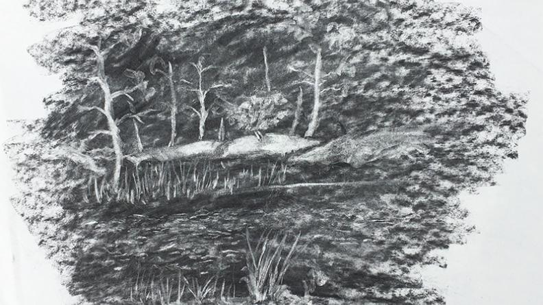 Atlas des paysages - dessin Hourtin Carcans