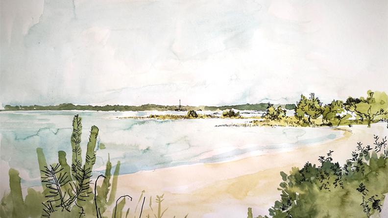 Atlas des paysages - dessin Hourtin Carcans