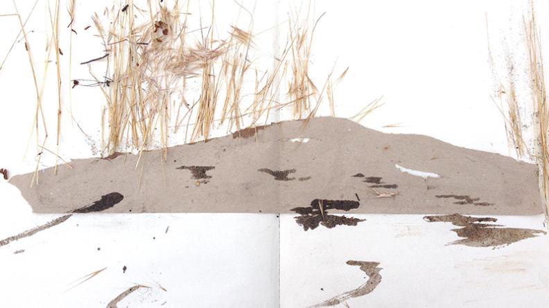Atlas des paysages - dessin Hourtin Carcans