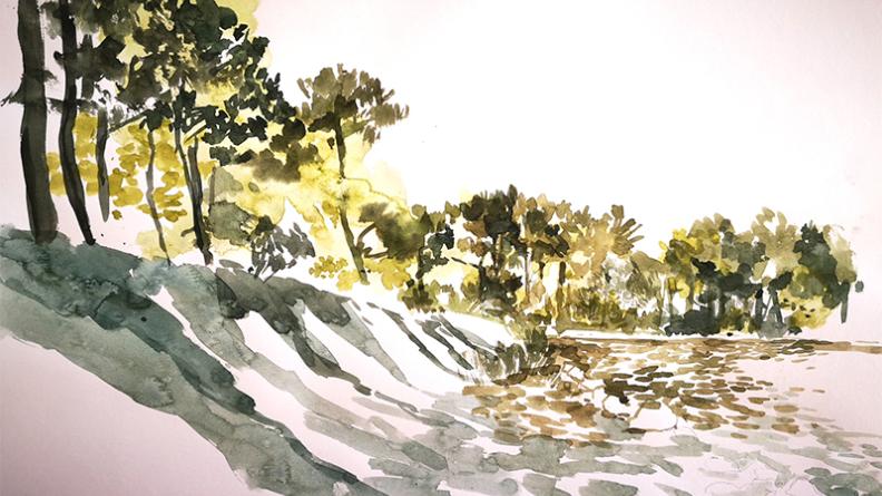 Atlas des paysages - dessin Hourtin Carcans