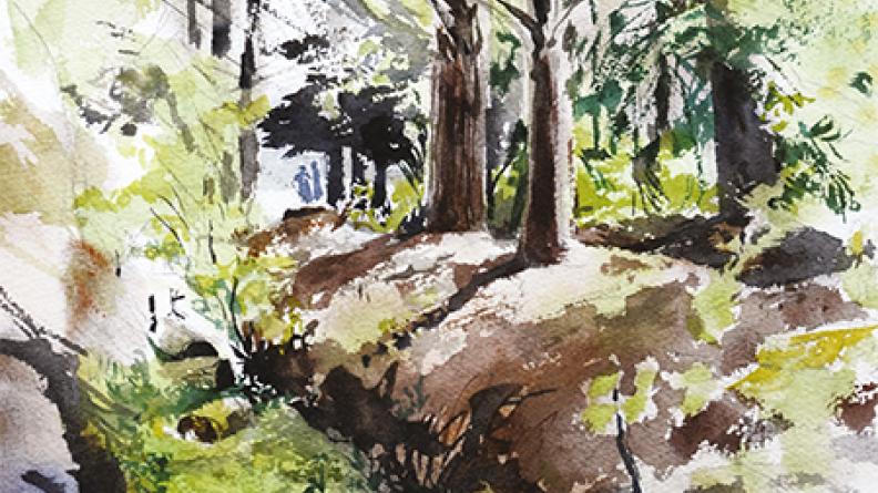 Atlas des paysages - Urban sketchers pendant la fête de la nature 2019