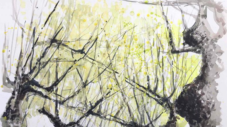 Atlas des paysages - dessin