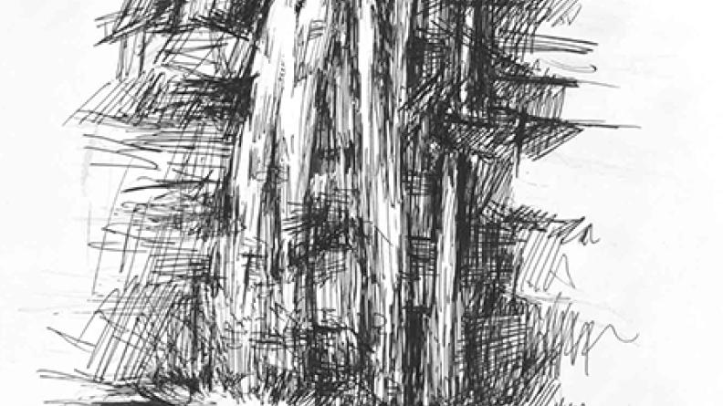 Atlas des paysages - dessin ENSAP