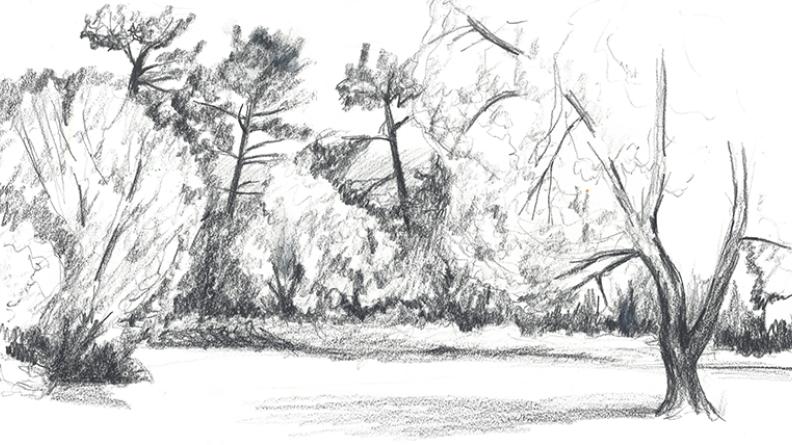 Atlas des paysages - dessin