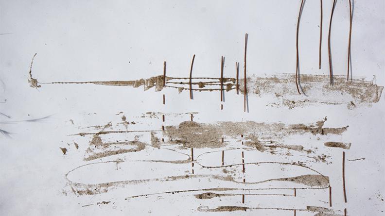 Atlas des paysages - dessin Cap Ferret