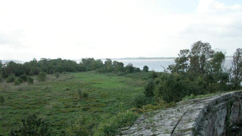 Les friches de l'île s'étendent au pied du Fort Paté