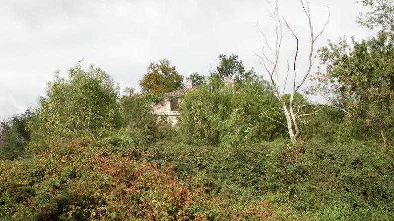 Le développement de la végétation occulte le fort - Île Paté