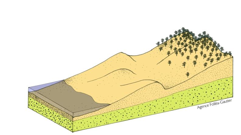 Les boisements maintiennent ces dunes tandis qu'un cordon plus étroit et plus mouvant apparaît