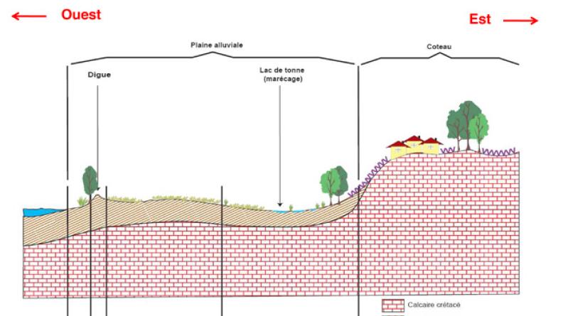 Les milieux naturels de l’estuaire
