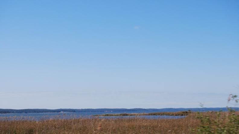 De vastes étangs se sont créés au pied des dunes, Carcans