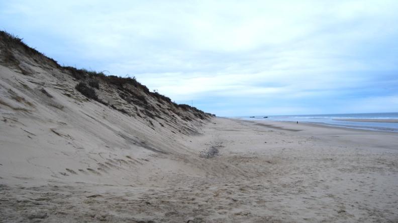 Les dunes sont soumises à une érosion importante sur cette partie du littoral - Soulac-sur-Mer