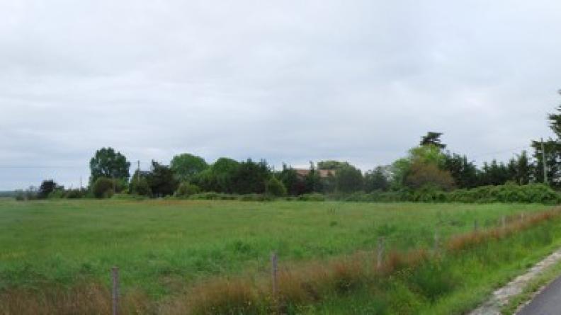Prairie menacée par l'urbanisation linéaire - Soulac-sur-Mer