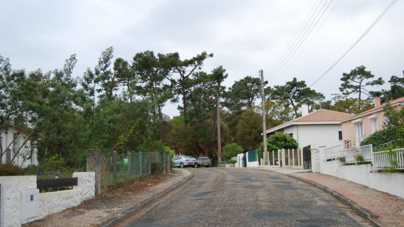 La ville et la forêt se côtoient directement, formant une longue lisière urbanisée entre dunes et marais - Le-Verdon-sur-Mer