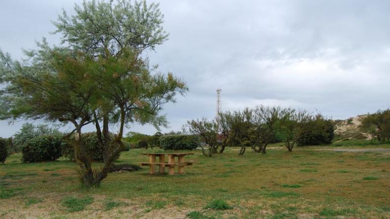Les dernières dunes du Médoc surplombent le port - Le-Verdon-sur-Mer