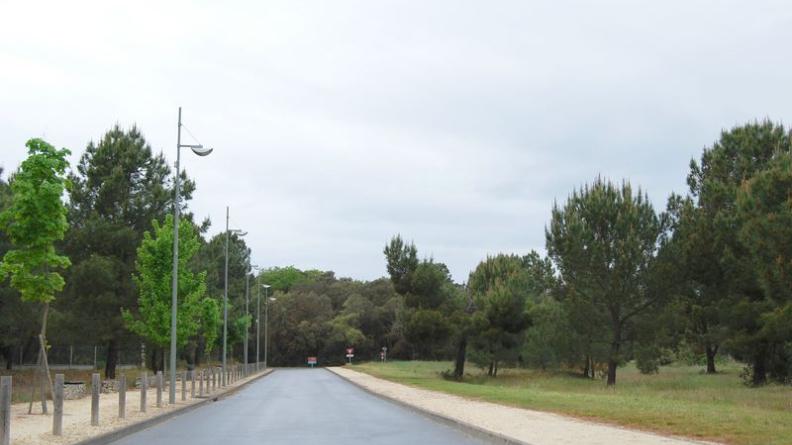 Au niveau de Port-Médoc, la forêt et sa lisière feuillue s'avancent presque jusqu'à la mer - Le-Verdon-sur-Mer