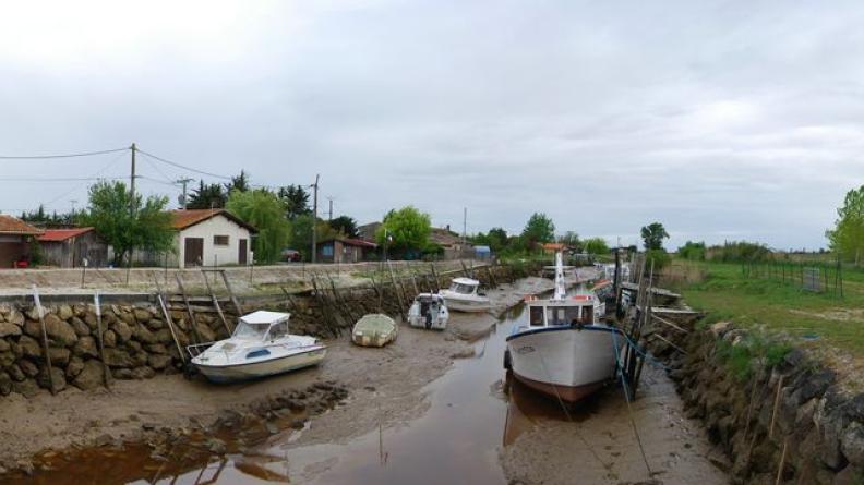 Par les chenaux, l'estuaire s'immisce à l'intérieur des terres - Saint-Vivien-de-Médoc