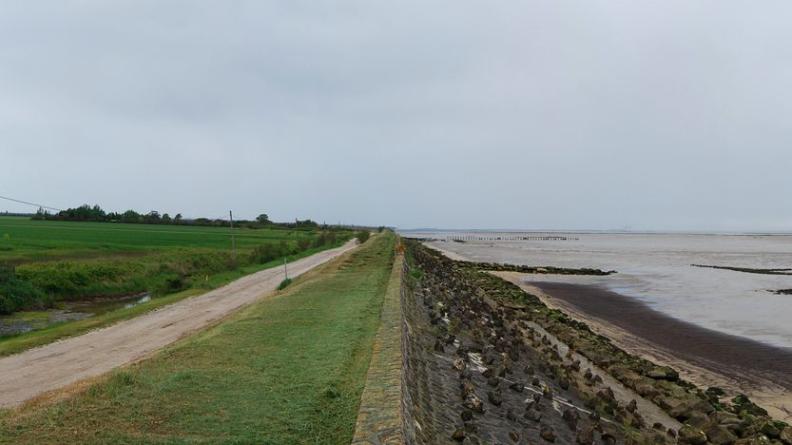 La digue maçonnée maintient hors d'eau les terres cultivées - Saint-Vivien-de-Médoc