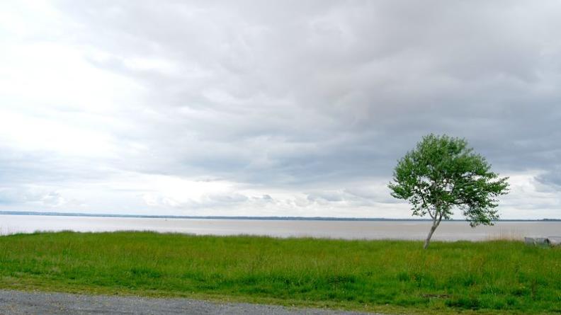 Les prémices des coteaux charentais dessinent un mince et sombre horizon, surplombant les digues presque invisibles du marais de Braud-et-Saint-Louis - Vue depuis Saint-Estèphe