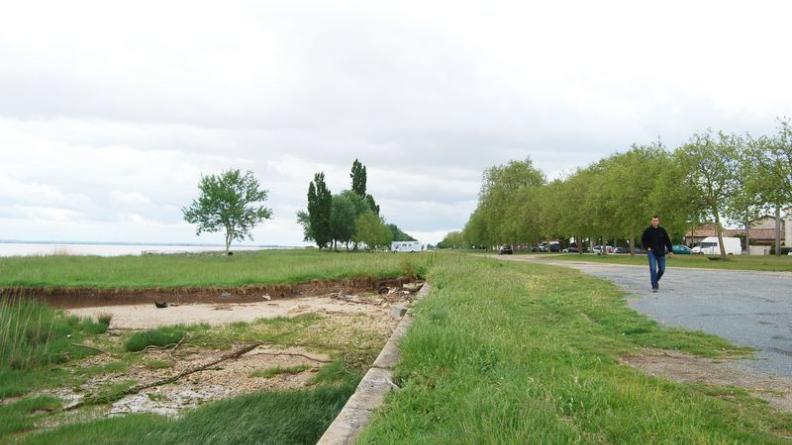 Les alignements accompagnant les routes sur les berges composent les paysages de l'estuaire - Saint-Estèphe