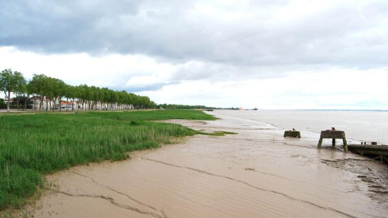 Douceur de la transition du bâti à l'estuaire : berges enherbées et vasière - Pauillac