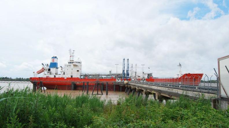 Les gros porteurs amarrés aux pontons de chargement participent du paysage de l'estuaire