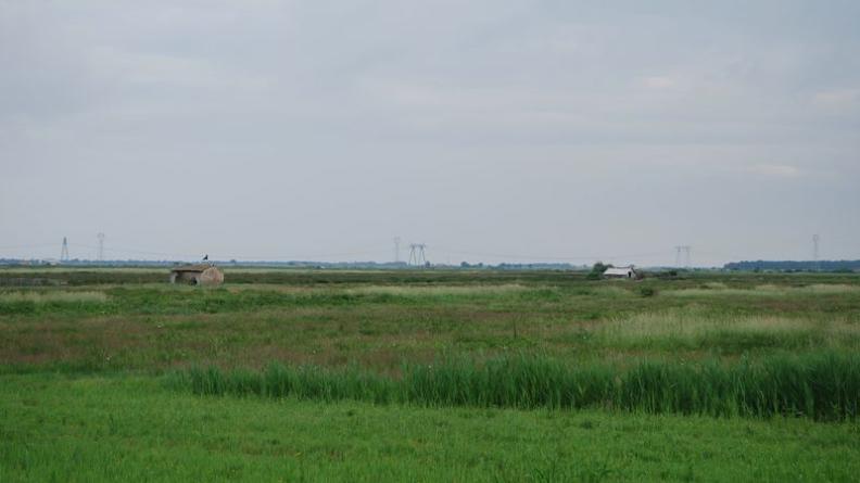 Bien que peu marqués, les légers rebords qui cernent le marais à l'est sont nettement visibles à l'horizon - Braud-et-Saint-Louis