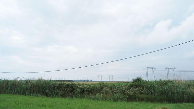 Du fait de l'horizontalité du marais et de la faible présence arborée, les lignes électriques semblent omniprésentes, traversant le paysage d'un bout à l'autre - Braud-et-Saint-Louis