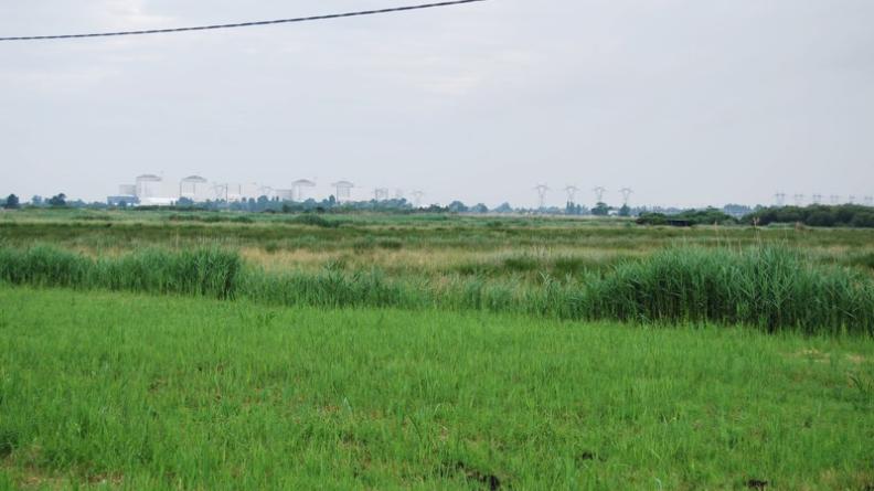 Une gestion régulière est nécessaire pour éviter l'enfrichement - Braud-et-Saint-Louis