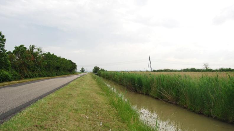 Le canal du Canton - Braud-et-Saint-Louis