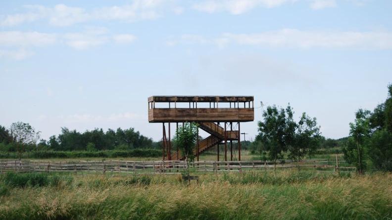 Le parc ornithologique des Callonges met en valeur le riche patrimoine naturel des marais estuariens - Saint-Ciers-sur-Gironde
