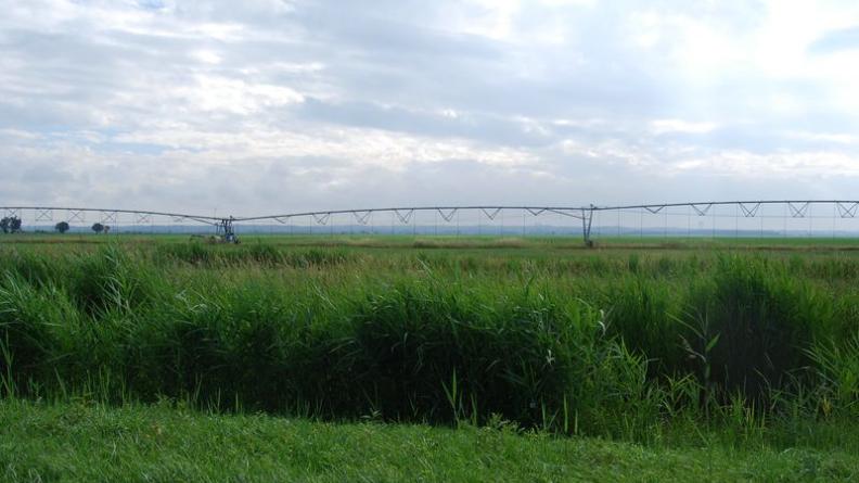 De longues rampes d'irrigation surplombent souvent les parcelles céréalières : les cultures nécessitent ici des apports conséquents - Saint-Ciers-sur-Gironde
