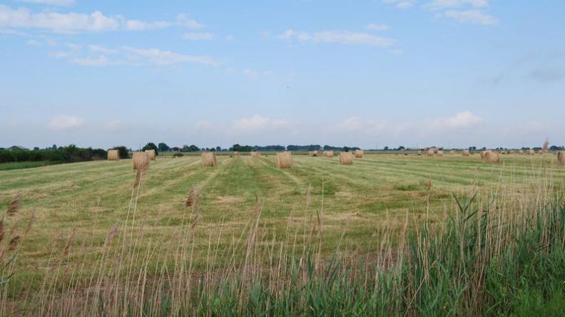 La prairie de fauche est également un mode d'exploitation de ces polders - Saint-Ciers-sur-Gironde