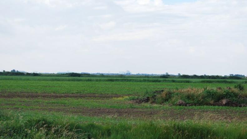 Sans présence végétale importante l'œil est très peu freiné dans ces paysages très plats et perçoit souvent jusqu'à la ripisylve en berge de l'estuaire - Saint-Ciers-sur-Gironde