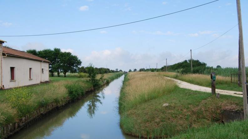 De nombreux fossés sillonnent les marais afin d'en drainer les eaux - Saint-Ciers-sur-Gironde