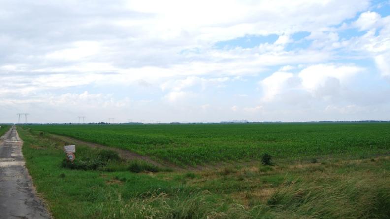 Simplification du paysage par la monoculture - Saint-Ciers-sur-Gironde