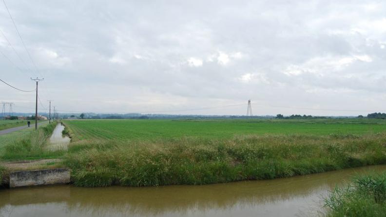 Le réseau s'organise en mailles orthogonales - Saint-Ciers-sur-Gironde