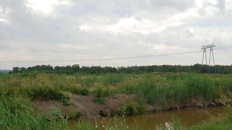 Gérés par les chasseurs, certains milieux s'enfrichent, évoluant parfois jusqu'à un stade forestier - Saint-Ciers-sur-Gironde