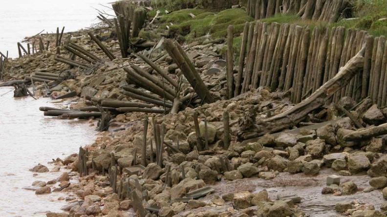 Une végétation spécifique se développe au pied des digues - Île du Nord