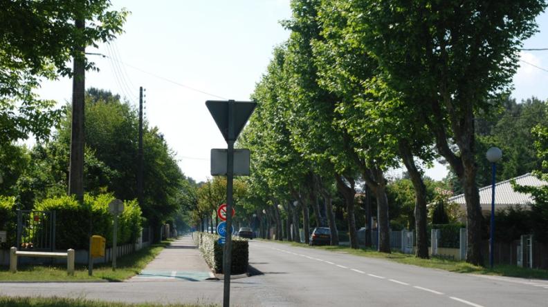 Le confort d'usage permet de rendre attractifs les modes de déplacement plus doux par rapport à la voiture : ici, la piste cyclable est clairement séparée de la route par une haie, ce qui améliore la sécurité - Bassin d'Arcachon