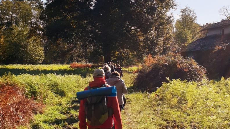 Bain de forêt à Hostens