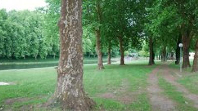 La qualité des berges du canal tient en grande partie à la présence des alignements d'arbres - Castets-en-Dorthe