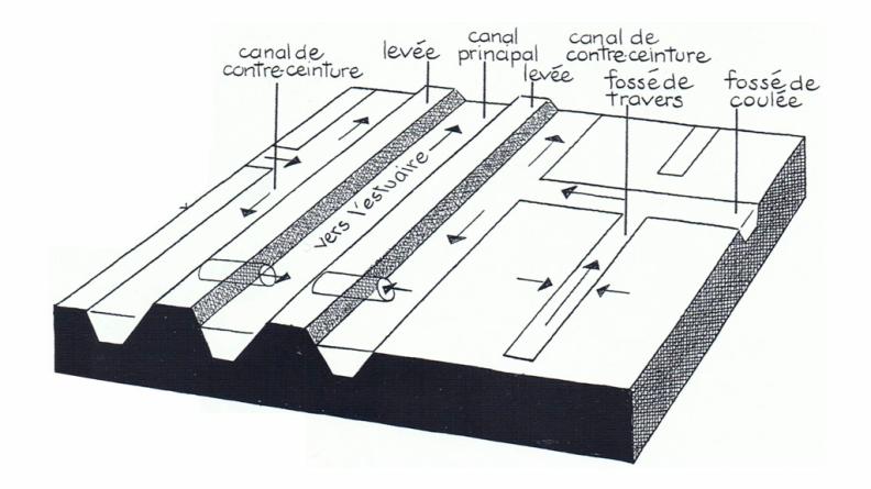 Le système de drainage du marais, d'après VIGNAU (M.), Le Blayais, pays d'Aquitaine, Bordeaux, 2004, p. 85.