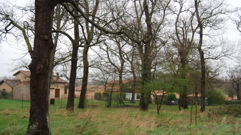 Ces boisements conservés forment une lisière végétale à ce quartier pavillonnaire, mais aussi un espace public 'naturel' accessible - Artigues-Près-Bordeaux
