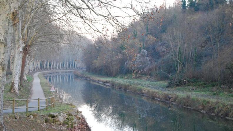 La piste verte aménagée au bord du canal latéral à la Garonne permet de découvrir ce patrimoine majeur en cheminant au pied des alignements de platanes majestueux - Castets-en-Dorthe