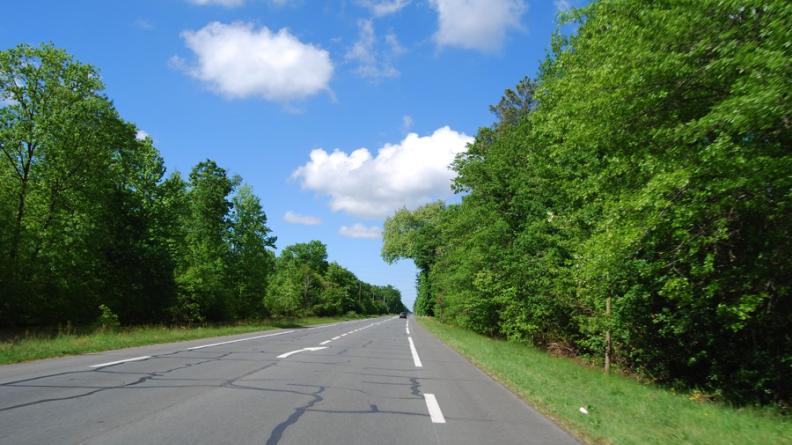 Les traversées routières des Landes dessinent de longs corridors rectilignes bordés de boisements continus, que l'on retrouve bien sur ce tronçon de la RD1250, encore préservé de l'extension linéaire, entre Cestas et Marcheprime.